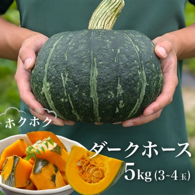石巻伝承野菜 かぼちゃ ダークホース 5キロ 3～4玉 カボチャ 南瓜 野菜 石巻産 国産 甘い