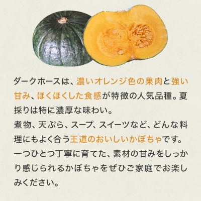 石巻伝承野菜 かぼちゃ ダークホース 10キロ 6～8玉 カボチャ 南瓜 野菜 石巻産 国産 甘い