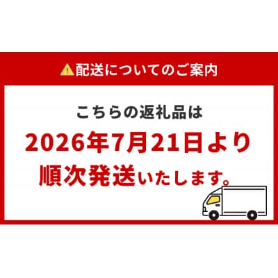 石巻伝承野菜 かぼちゃ ダークホース 10キロ 6～8玉 カボチャ 南瓜 野菜 石巻産 国産 甘い