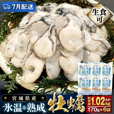 【7月配送】氷温熟成かき 生食用 冷凍170g×6袋 約1kg むき身 まるたか水産 石巻市