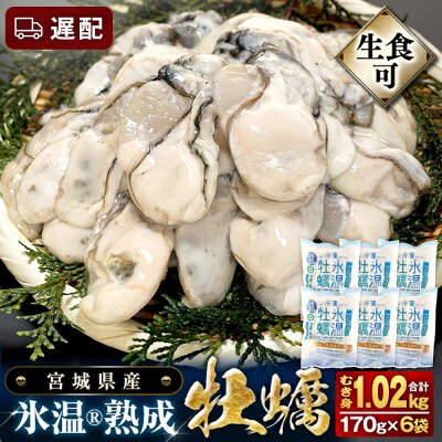 【遅配】氷温熟成かき 生食用 冷凍170g×6袋 約1kg むき身 まるたか水産 石巻市