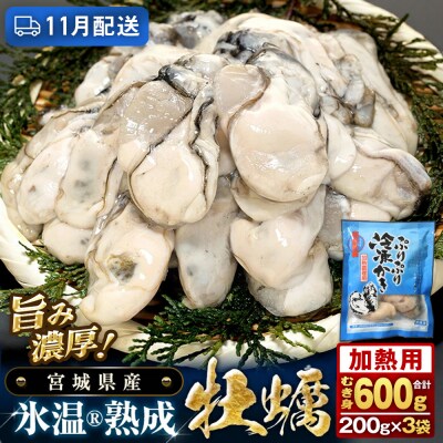 【11月配送】加熱用 牡蠣 むき身 宮城県産 氷温熟成かき 200g × 3袋 小分け 600g 冷