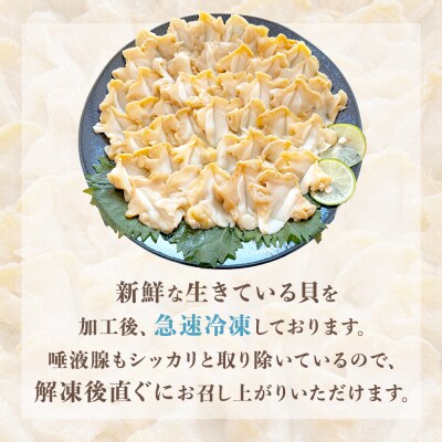 <先行予約> つぶ貝 刺 つぶ刺し 900g ツブ貝 ツブ刺し おつまみ 簡単調理 小分け 酒の肴 