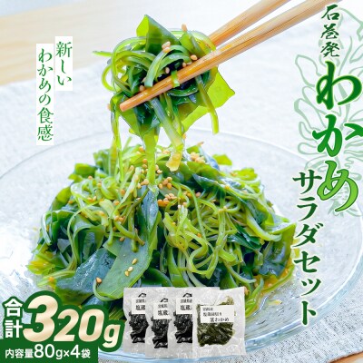 石巻発 わかめサラダセット 塩蔵わかめ 茎わかめ わかめ ワカメ 海藻 塩蔵 セット 宮城県産 国産