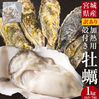牡蠣 訳あり 宮城県産 無選別 1kg 加熱用 真牡蠣 かき カキ 貝 貝類 海産物 魚介類 海鮮