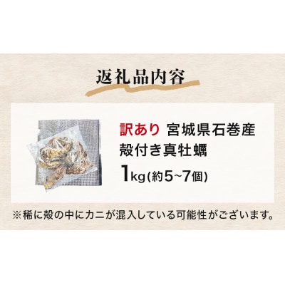 牡蠣 訳あり 宮城県産 無選別 1kg 加熱用 真牡蠣 かき カキ 貝 貝類 海産物 魚介類 海鮮