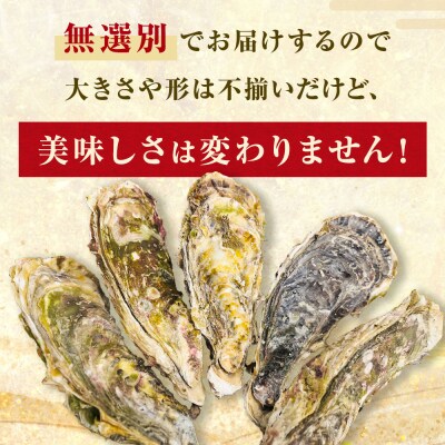 牡蠣 訳あり 宮城県産 無選別 5kg 加熱用 真牡蠣 かき カキ 貝 貝類 海産物 魚介類 海鮮