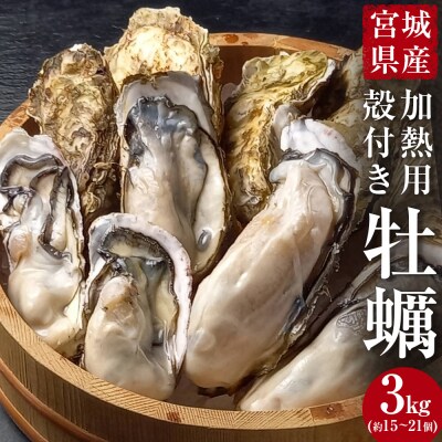 牡蠣 宮城県産 選別済み 3kg 加熱用 真牡蠣 かき カキ 貝 貝類 海産物 魚介類 海鮮 冷凍