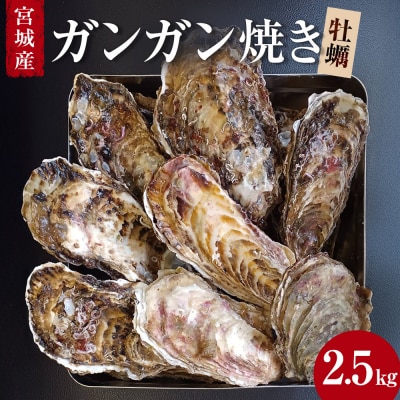牡蠣 ガンガン焼き 2.5kg 宮城県産 加熱用 真牡蠣 かき カキ 蒸し牡蠣 貝 貝類 海産物