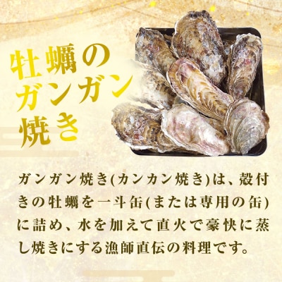 牡蠣 ガンガン焼き 2.5kg 宮城県産 加熱用 真牡蠣 かき カキ 蒸し牡蠣 貝 貝類 海産物