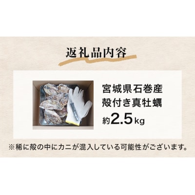 牡蠣 ガンガン焼き 2.5kg 宮城県産 加熱用 真牡蠣 かき カキ 蒸し牡蠣 貝 貝類 海産物