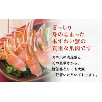 本ズワイガニ 爪肉 3kg 蟹爪 かに カニ 蟹 蟹の爪 ずわいがに 冷凍 海鮮 魚介類