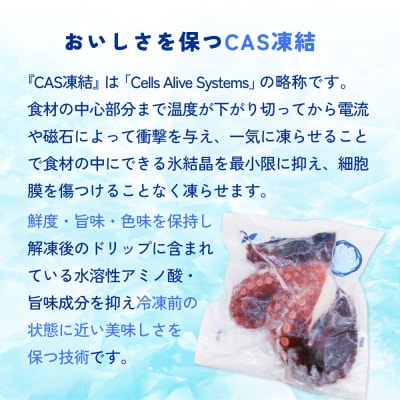 真たこ ボイル  約 500g 蛸 たこ タコ ボイル済み 冷凍 小分け CAS凍結 海鮮 魚介類