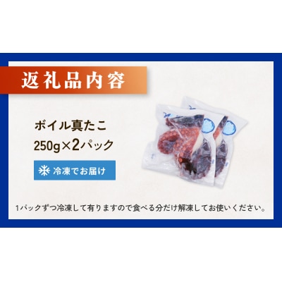 真たこ ボイル  約 500g 蛸 たこ タコ ボイル済み 冷凍 小分け CAS凍結 海鮮 魚介類