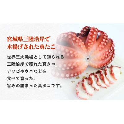 真たこ ボイル  約 1.5kg 蛸 たこ タコ ボイル済み 冷凍 小分け CAS凍結 海鮮 魚介類