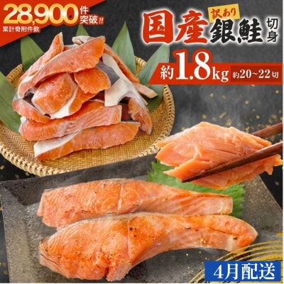 【4月配送】訳あり 国産 銀鮭 1.8kg 切り身 鮭 さけ 冷凍 不揃い サーモン 塩鮭 石巻