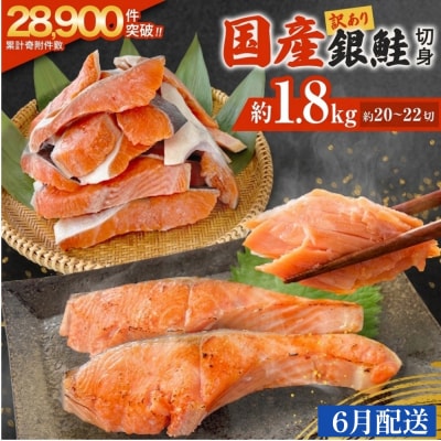 【6月配送】訳あり 国産 銀鮭 1.8kg 切り身 鮭 さけ 冷凍 不揃い サーモン 塩鮭 石巻
