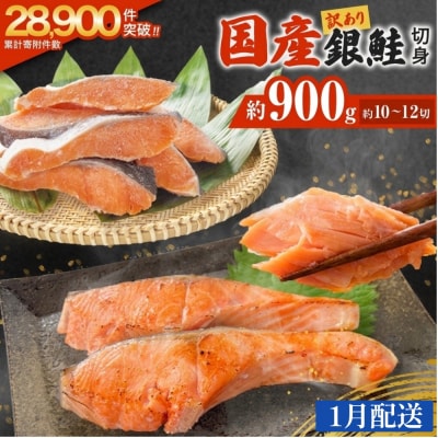 【1月配送】訳あり 国産 銀鮭 0.9kg 切り身 鮭 さけ 冷凍 不揃い サーモン 塩鮭 石巻市