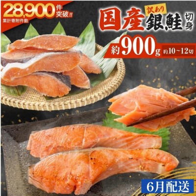 【6月配送】訳あり 国産 銀鮭 0.9kg 切り身 鮭 さけ 冷凍 不揃い サーモン 塩鮭 石巻市
