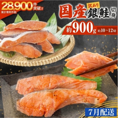 【7月配送】訳あり 国産 銀鮭 0.9kg 切り身 鮭 さけ 冷凍 不揃い サーモン 塩鮭 石巻市