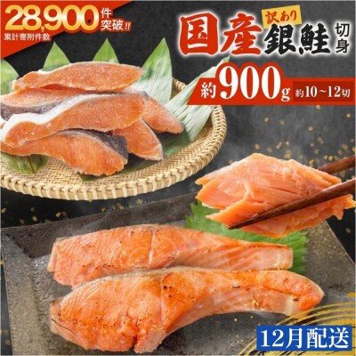【12月配送】訳あり 国産 銀鮭 0.9kg 切り身 鮭 さけ 冷凍 不揃い サーモン 塩鮭 石巻市