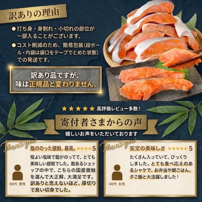 【2月配送】訳あり 国産 銀鮭 2.7kg 切り身 鮭 さけ 冷凍 不揃い サーモン 塩鮭 石巻市