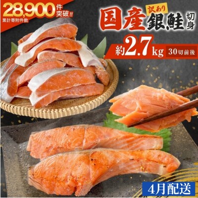 【4月配送】訳あり 国産 銀鮭 2.7kg 切り身 鮭 さけ 冷凍 不揃い サーモン 塩鮭 石巻市