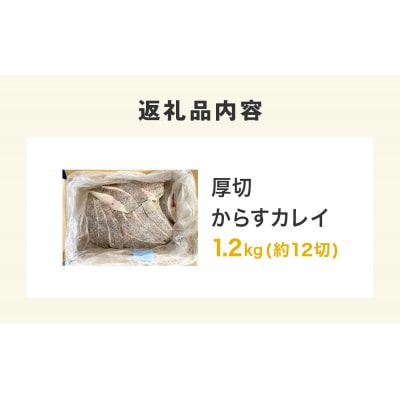 〈 訳あり 〉からすカレイ 厚切 ( どっさり 1.2kg ) 訳アリ カラスガレイ かれい カレイ