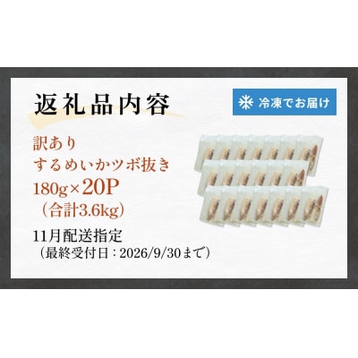 【11月配送】 訳あり 石巻産 柔らか するめいか ツボ抜き 冷凍 下処理済み 180g × 20P