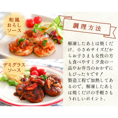 牛タン入り ハンバーグ 【 30g × 20枚 】 鶏肉 肉 国産 牛タン入 冷凍