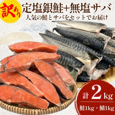 《訳あり》  定塩銀鮭 約 1kg・無塩サバフィレ 約 1kg 切り身 セット 合計 2kg