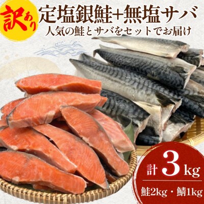 《訳あり》 定塩銀鮭 約 2kg・無塩サバフィレ 約 1kg 切り身 セット 合計 3kg