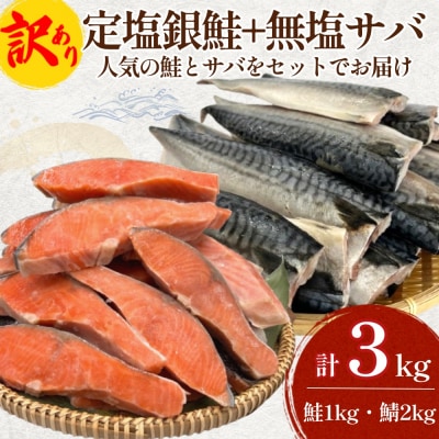 《訳あり》 定塩銀鮭 約 1kg・無塩サバフィレ 約 2kg 切り身 セット 合計 3kg