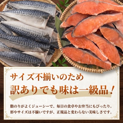 《訳あり》 定塩銀鮭 約 1kg・無塩サバフィレ 約 2kg 切り身 セット 合計 3kg