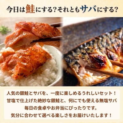 《訳あり》 定塩銀鮭 約 1kg・無塩サバフィレ 約 2kg 切り身 セット 合計 3kg