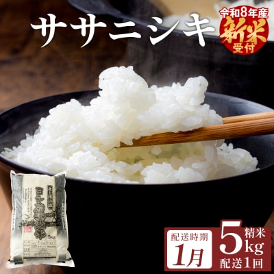 【1月配送】 <先行受付> 米 令和8年産 ササニシキ 精米 5kg 単品 新米 こめ コメ お米