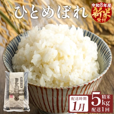【1月配送】 <先行受付> 米 令和8年産 ひとめぼれ 精米 5kg 単品 こめ コメ お米 ご飯