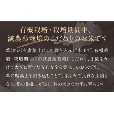 【1月配送】 <先行受付> 米 令和8年産 ひとめぼれ 精米 5kg 単品 こめ コメ お米 ご飯