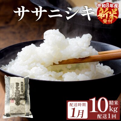 【1月配送】 <先行受付> 令和8年産 ササニシキ 精米 10kg (5kg×2) 単品 新米