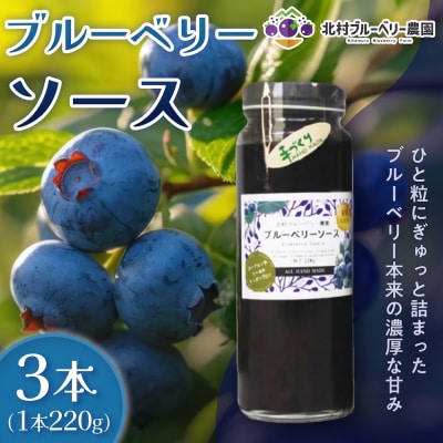 ブルーベリーソース 220g × 3本 ブルーベリー ソース 自然栽培  冷蔵