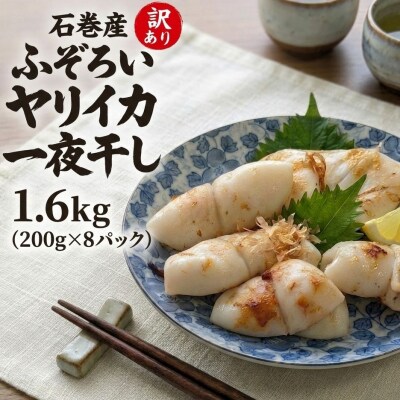 【 訳あり 】 石巻産 ふぞろい ヤリイカ 一夜干し 1.6kg (200g ×8パック) やりいか