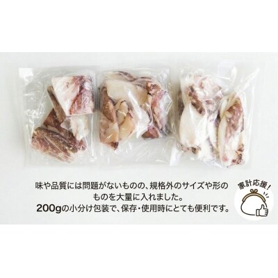 【 訳あり 】 石巻産 ふぞろい ヤリイカ 一夜干し 1.6kg (200g ×8パック) やりいか