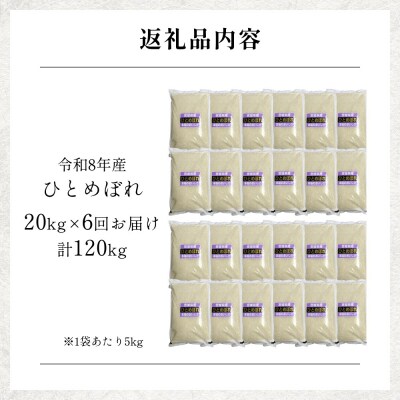 【 令和8年産 】 新米 ひとめぼれ 20kg< 毎月 20kg 6回 お届け >宮城県 石巻市産
