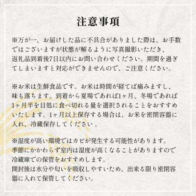 【 令和8年産 】 新米 ササニシキ 10kg< 毎月 10kg 3回 お届け >宮城県 石巻市産
