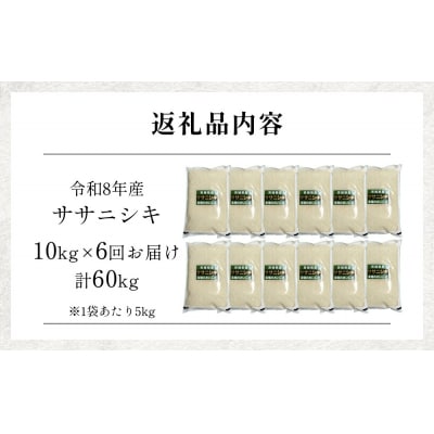 【 令和8年産 】 新米 ササニシキ 10kg< 毎月 10kg 6回 お届け >宮城県 石巻市産