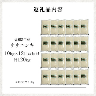 【 令和8年産 】 新米 ササニシキ 10kg< 毎月 10kg 12回 お届け >宮城県 石巻市産