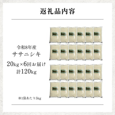 【 令和8年産 】 新米 ササニシキ 20kg< 毎月 20kg 6回 お届け >宮城県 石巻市産