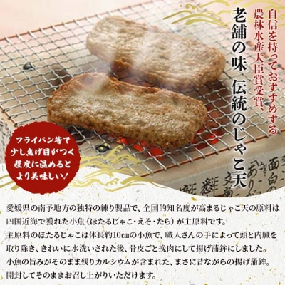 <宇和海の味 おがた蒲鉾 じゃこ天詰合せ(ギフト可)>　魚　魚介　天ぷら　おつまみ　郷土料理