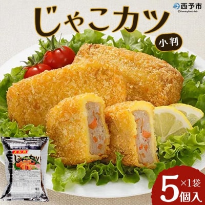 <おがた蒲鉾　じゃこカツ小判(未加熱)5個入り>　じゃこ天　ソウルフード　特産品　郷土料理　おかず