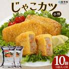 <おがた蒲鉾　じゃこカツ小判(未加熱)5個入り×2袋>　じゃこ天　ソウルフード　おつまみ　郷土料理
